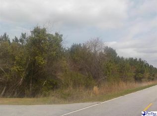 Old Wire Rd, Bennettsville, SC 29512