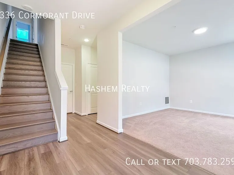 3336 Cormorant Dr — Photo 2