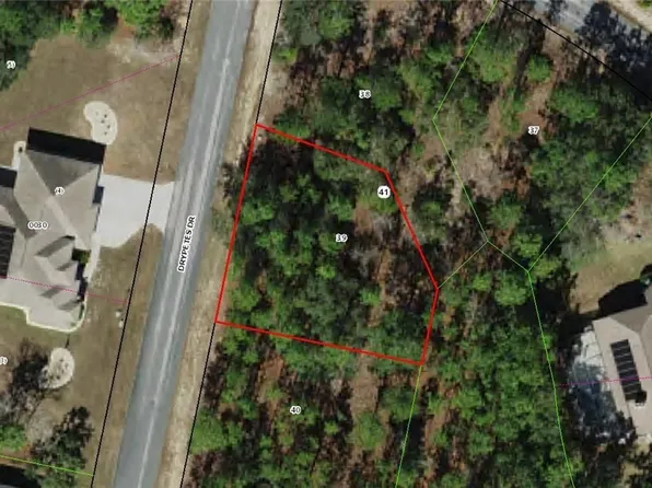 7 Drypetes Dr, Homosassa, FL 34446