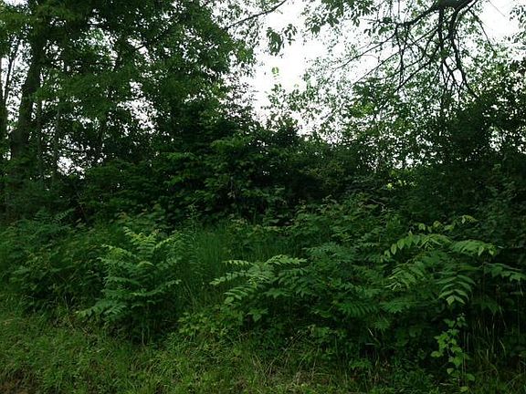 4th image of 0 Morgan Rd