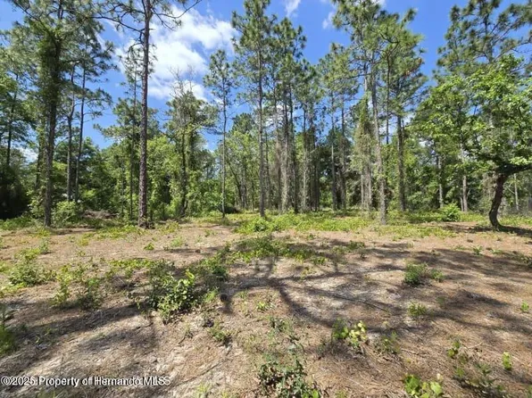 0 Catbird Rd, Brooksville, FL 34614
