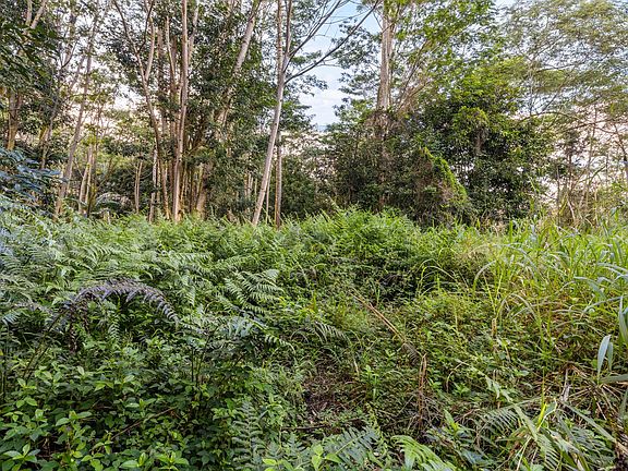 5th image of 17-855 Olaa Rd