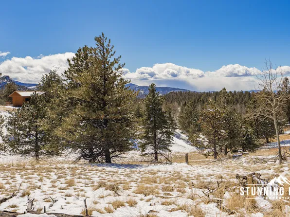 21 E Nevada Cir, Florissant, CO 80816