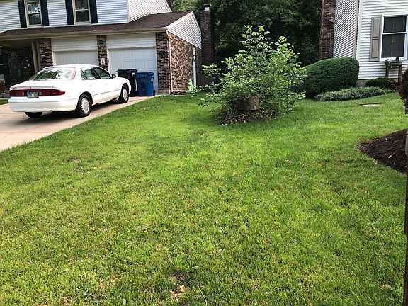 Front/side yard