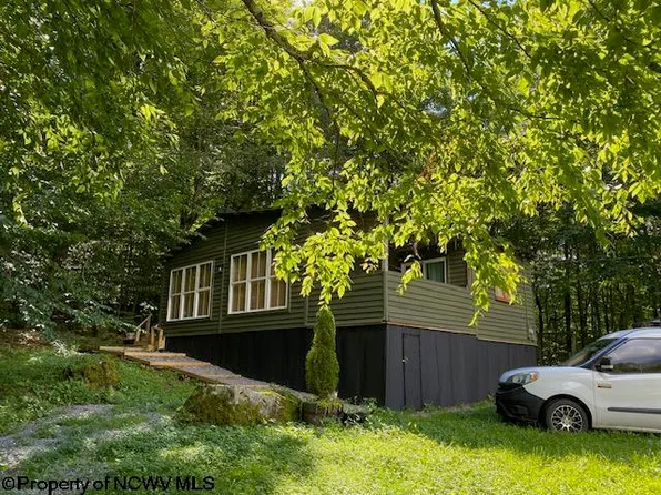 7329 Point Mountain Rd, Monterville, WV 26282