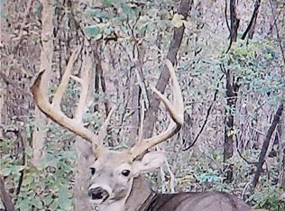 5 State Aa Rd, Roach, MO 65787
