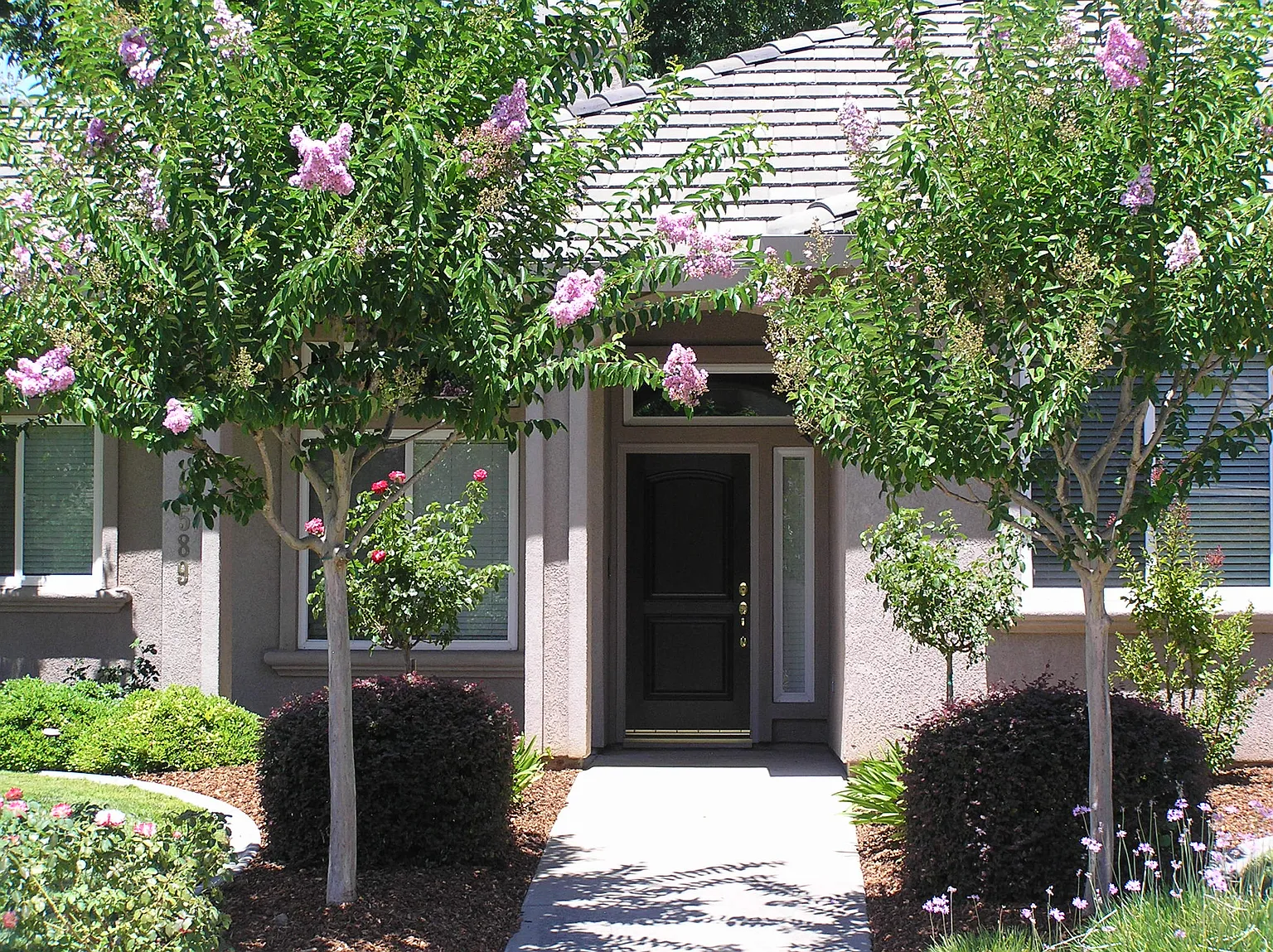8589 Jaytee Way photo 1