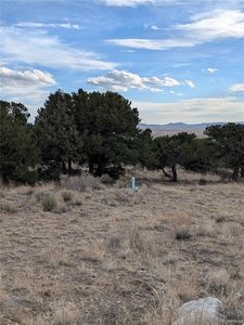 Lot 2 20th Street, Blanca, CO, 81123