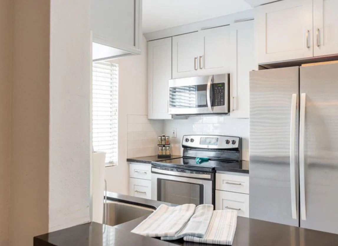 2 bed, 915 sqft, $3,600 — Photo 3