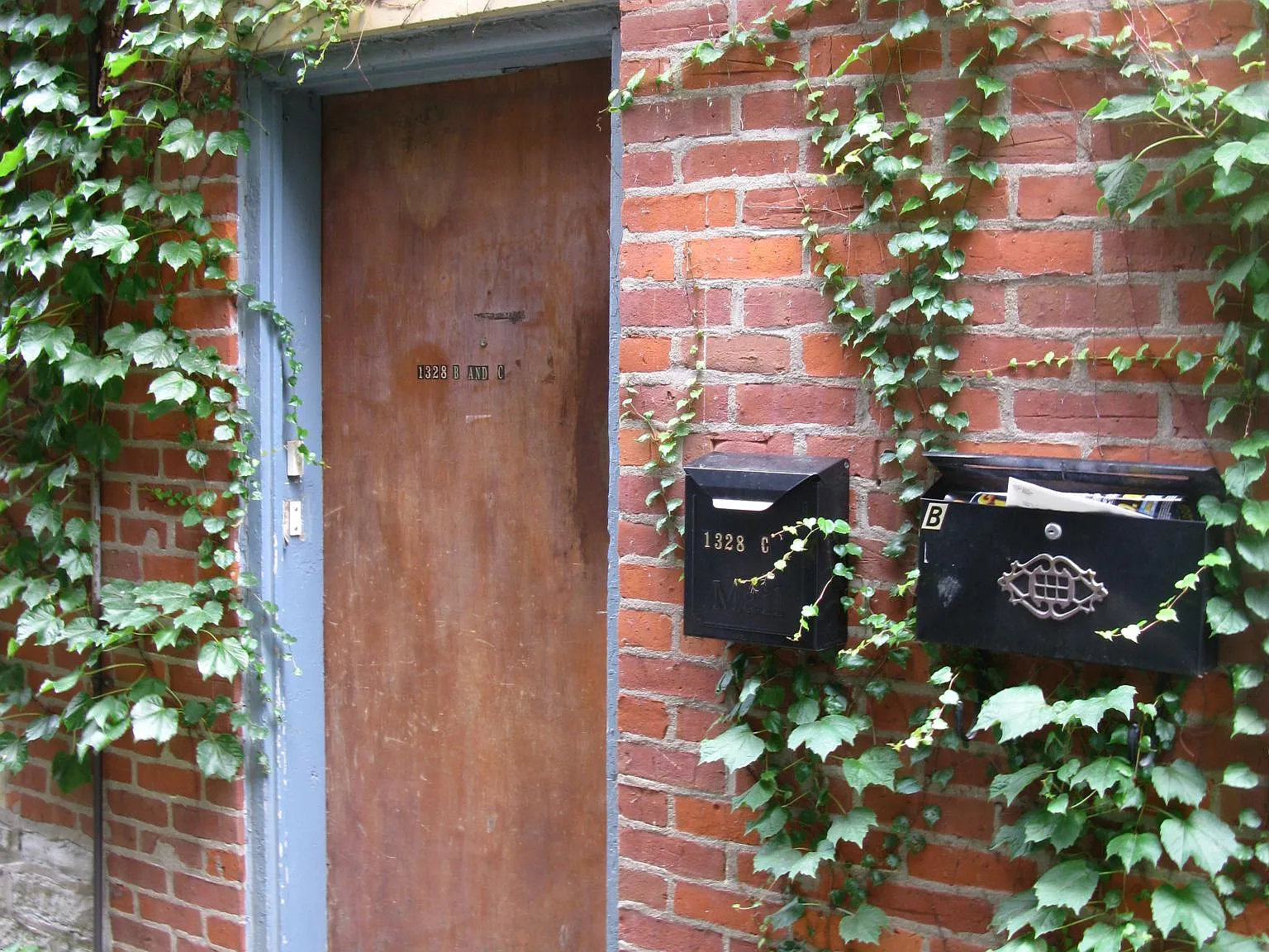 1 bed, 700 sqft, $900 — Photo 2
