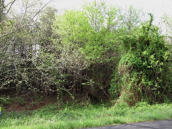 5th image of Lot 9 St. John's Circle