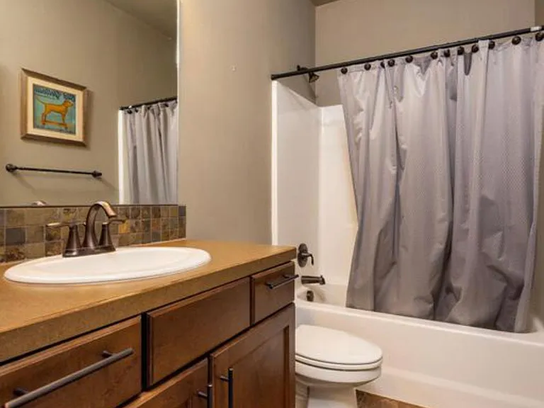 1087 Timber Mountain Ln — Photo 9