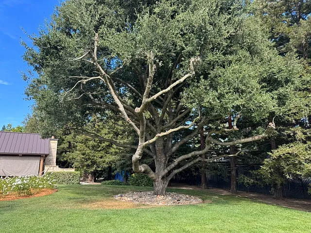 Reynolds Dr — Photo 23