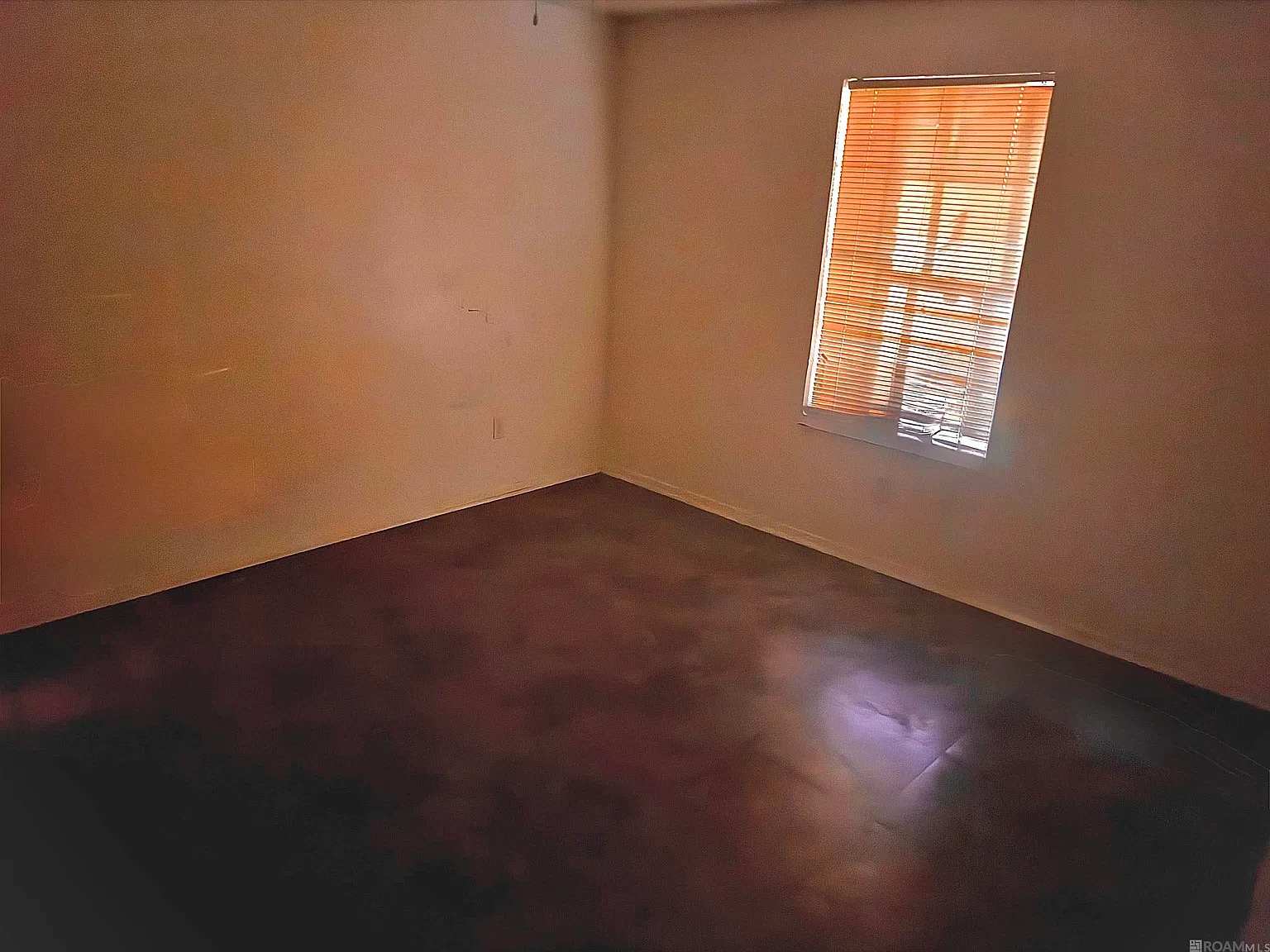 1 bed, 700 sqft, $650 — Photo 4
