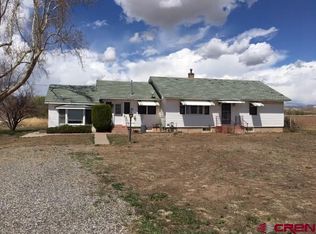 20007 Iris Rd, Austin, CO 81410