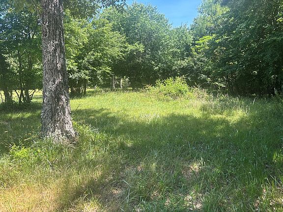 5th image of 238 Long Branch Rd