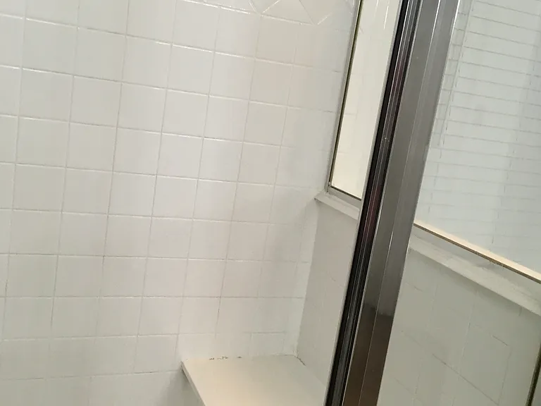 Master bedroom shower