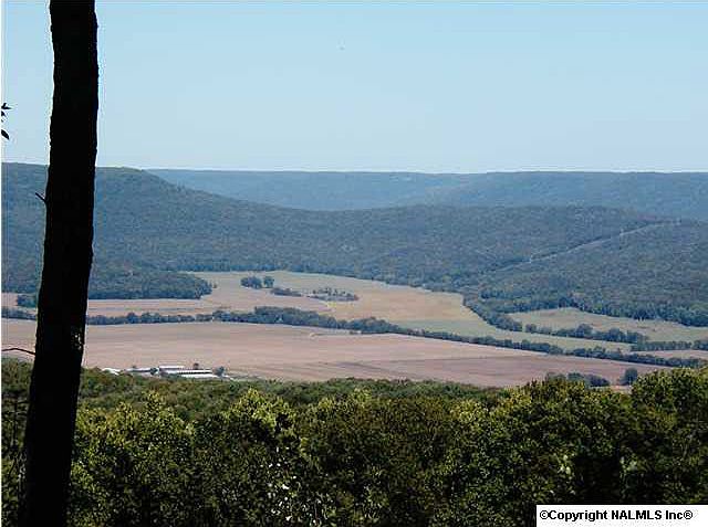 2nd image of 112 High Bluff Dr