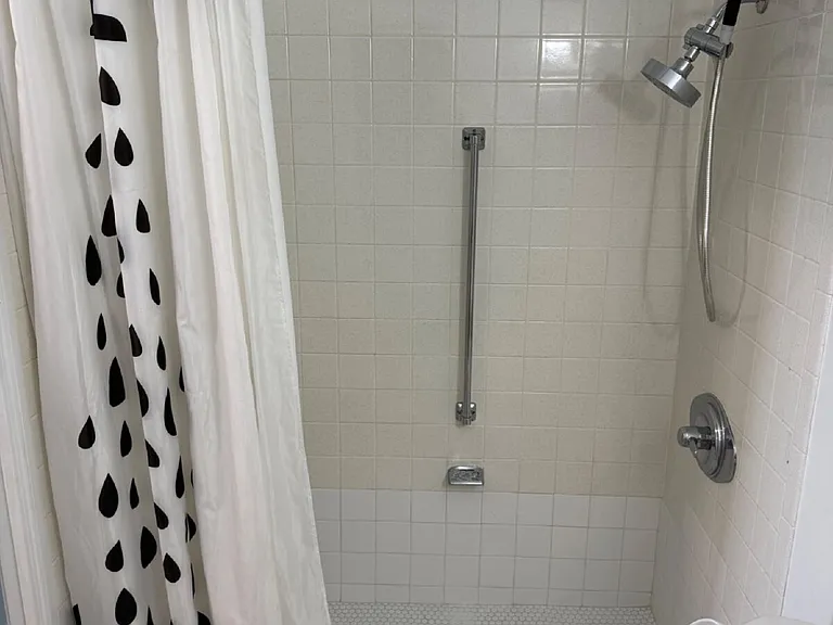 350 S Clinton St #6D — Photo 9