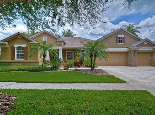 15208 Merlinpark Pl, Lithia, FL 33547