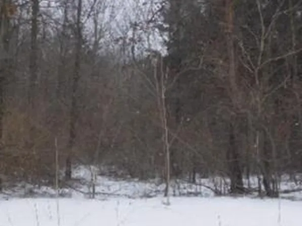 76645 40th St, Paw Paw, MI 49079