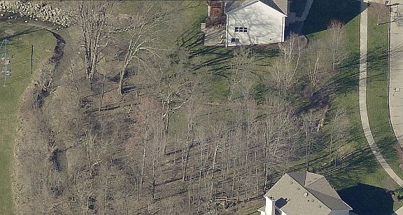 5th image of Woodlawn Ct