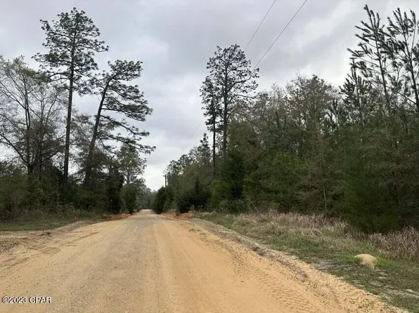 TRACT 6418 SW Mattox Springs Rd, Caryville, FL 32427
