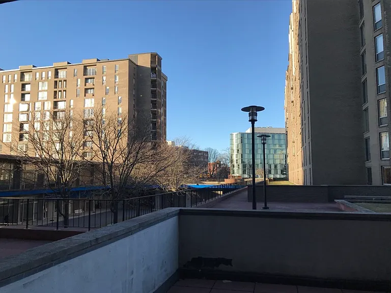 77 Pond Ave #203 — Photo 14