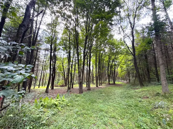 Dutton Loop Lot Wp002, Cuba, NY 14727