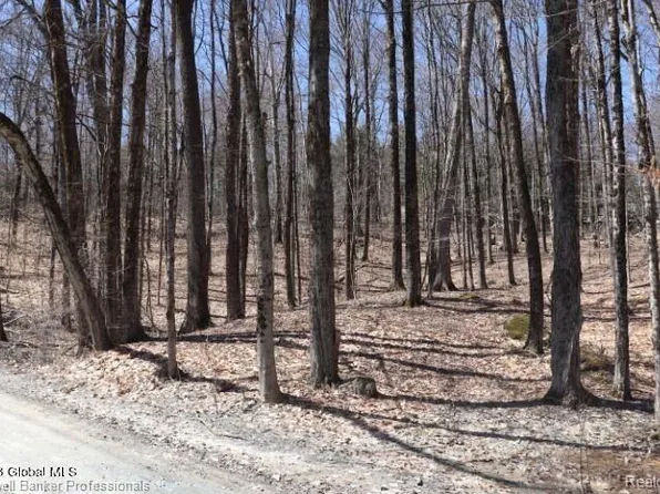 0 Shady Beach Dr, Whitmore Lake, MI 48189