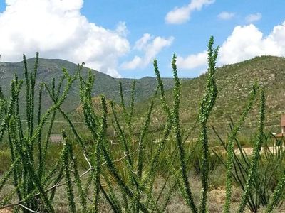Lot 20 W Cameo Street #20, Bisbee, AZ, 85603