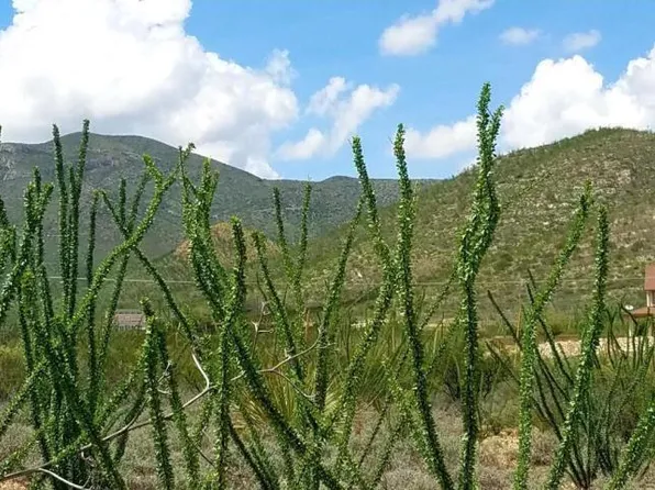 Lot 20 W Cameo Street #20, Bisbee, AZ 85603