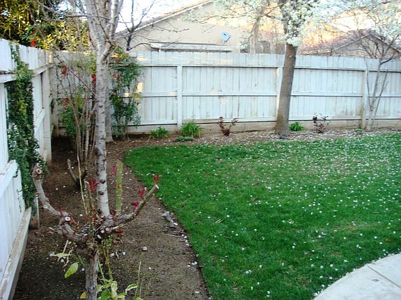 n/w corner of backyard