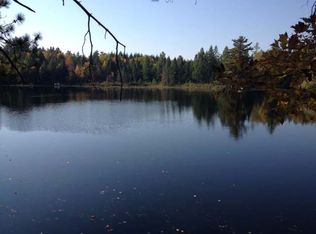 1298 Watersmeet Lake Rd, Eagle River, WI 54521