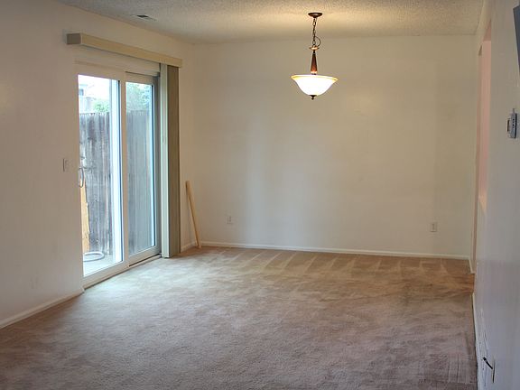 Living / Dining