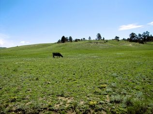 0 Atisi Rd, Hartsel, CO 80449