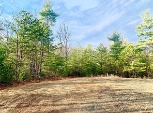LOT 123 Pepper Bush Rd LOT 123, Purlear, NC 28665