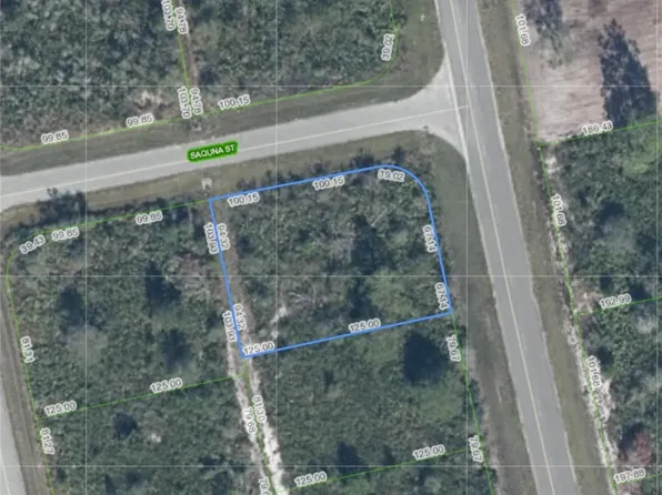 7003 Saquna St, Sebring, FL 33872