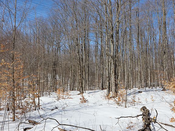 3rd image of Walker Rd NW