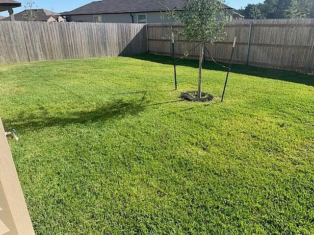 203 Comal Dr — Photo 8
