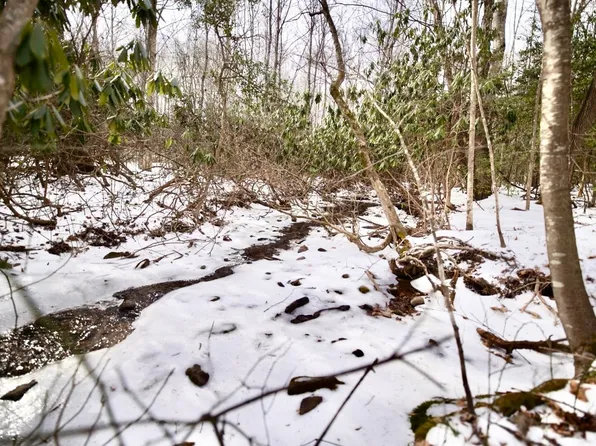 Mountian Valley Rd, Lambsburg, VA 24351