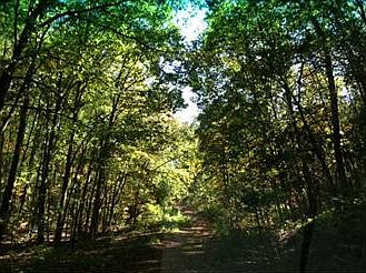 1st image of Hadnet Ln