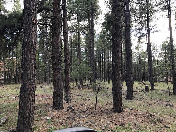 2nd image of 3312 E Pine Cone Dr