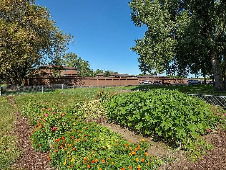 Discover Your Green Thumb with Our Community Garden