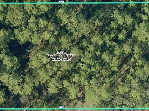 18379 MACEK ROAD LOT 19, WEEKI WACHEE, FL 34614