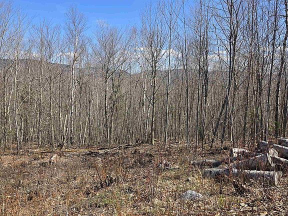 3rd image of Cates Hill Road