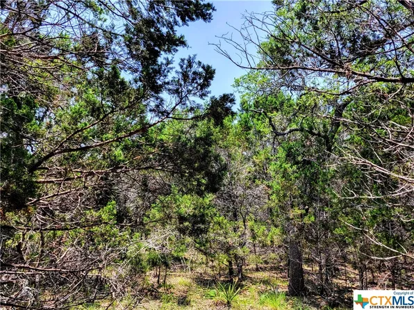 329 Stallion Springs Dr, Fischer, TX 78623