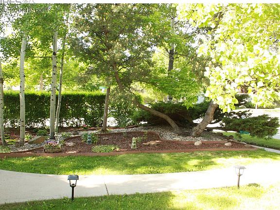 Front Yard Landscaping