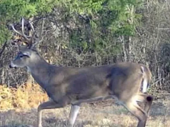 0 Mc #30, Doddridge, AR 71834