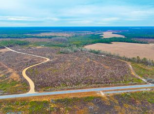 Fender Bay Rd LOT WP001, Willacoochee, GA 31650